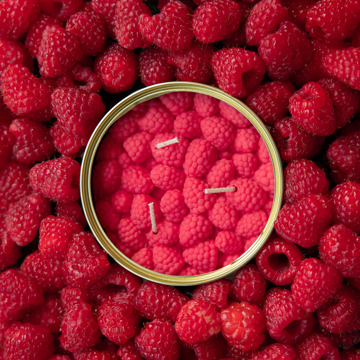 Candlehand Candela Realistica Lamponi in Lattina Sweet Raspberries – 290g