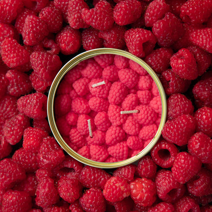 Candlehand Candela Realistica Lamponi in Lattina Sweet Raspberries – 290g