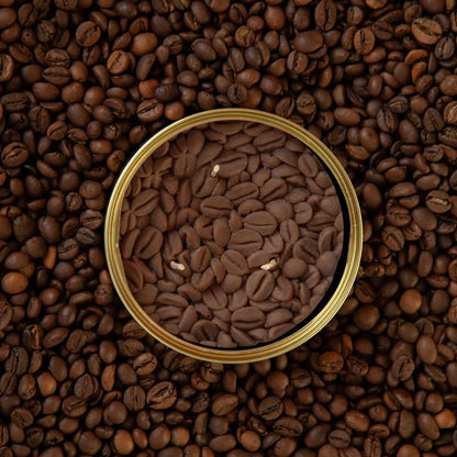 Candlehand Candela Realistica Chicchi di Caffè in Lattina Coffee Beans – 300g